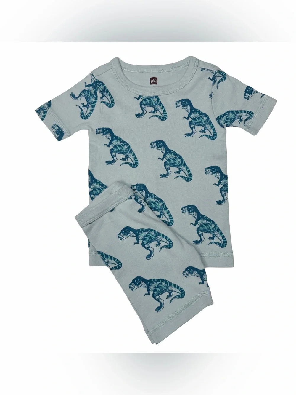 Tea Collection Dinosaur Shorts Pajamas
